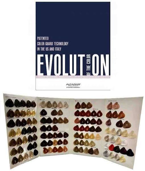 EVOLUTION OF THE COLOR